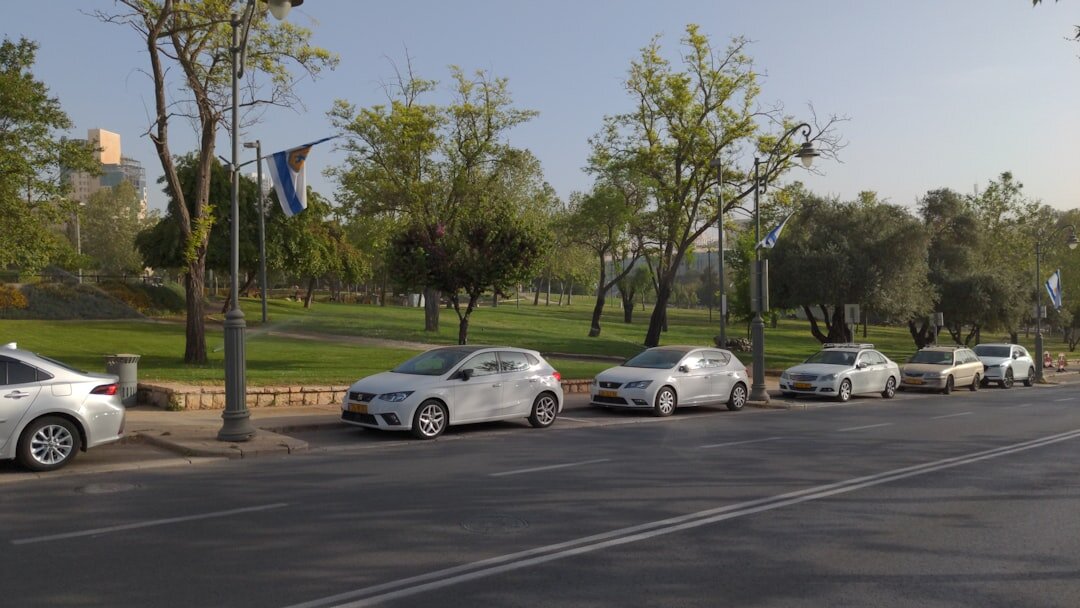 Fleet of modern driving school cars